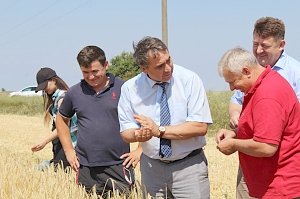 К началу июля убрано более 22% ранних зерновых культур, — министр сельского хозяйства РК