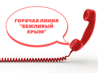 Анна Нерозина: На горячую линию «Вежливый Крым» поступило 1024 звонка