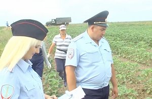 Результаты работы МВД по Республике Крым по линии незаконного оборота наркотиков за 2016 год