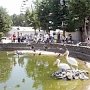 Зооуголок в Детском парке Симферополя начали приводить в порядок