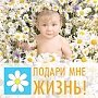 В Крыму проходит акция «Подари мне жизнь!»