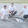 Активисты ОНФ зафиксировали ямы и разрушенный тротуар на отремонтированной дороге в столице Крыма