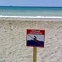 Городские пляжи проверили на безопасность