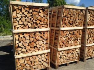 Более 17 тыс м3 дров продали в Крыму с начала года