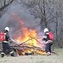 За выходные дни в Крыму ликвидировано более 100 загораний