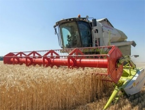 За десять лет в Крыму собран лучший урожай зерна