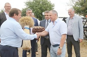 В Крыму намолотили свыше миллиона тонн ранних зерновых культур