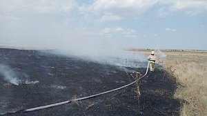 За сутки крымские спасатели 35 раз ликвидировали возгорания