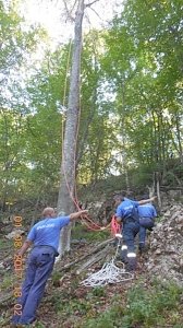Крымские спасатели сняли с дерева упавшего парапланериста