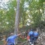 Крымские спасатели сняли с дерева упавшего парапланериста