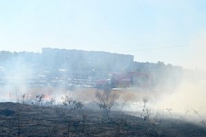 В Севастополе спасатели не допустили распространение огня на дачный массив и ближайшую лесополосу