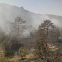 В районе Щебетовки горел хвойный лес