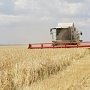 В Крыму впервые за 8 лет собрали почти 2 млн тонн зерна