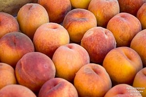 В Евпатории проходят «Дни персика»