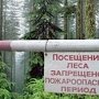 Крым: три недели без леса