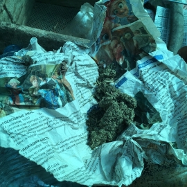 Молодой житель Кировского района незаконно хранил марихуану