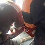 Крымские спасатели освободили ребёнка из железной ловушки