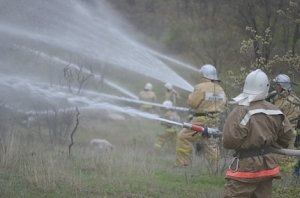 МЧС предупреждает: в Севастополе введён особый противопожарный режим!