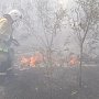 Огнеборцы Крыма за два выходных дня 48 раз привлекались для ликвидации возгораний сухой растительности