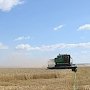 В Орловской области собран первый миллион тонн зерна нового урожая