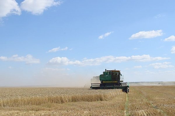 В Орловской области собран первый миллион тонн зерна нового урожая