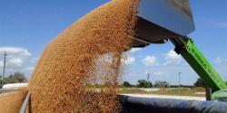 Нет никакого риска, что в государстве не хватит зерна, — Рюмшин