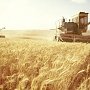 Без днепровской воды Крым собрал рекордный урожай