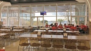 Скандал в Грузии: школьники посмели отправиться в «Артек»