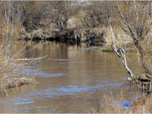 Очистка русел рек – необходимая мера предупреждения наводнения, — Сергей Шахов