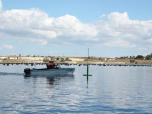 Число желающих получить права на управление маломерным судном в Крыму увеличивается