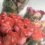 Цветочный ажиотаж в Севастополе: родители скупают букеты по 500 рублей