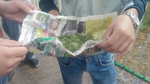 У жителя Красноперекопска изъяли 40, 5 граммов каннабиса