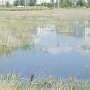 В Керчи на Индустриальном шоссе опять стоит фекальное озеро