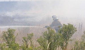 В Ленинском районе за выходные три раза горела степь