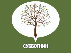 В Красноперекопском районе на выходных произойдёт Всероссийский экологический субботник