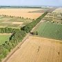 Более 40 тыс. гектаров озимых зерновых посеют в Джанкойском районе