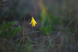 Красоты Крыма посредством фотографии покажут в Евпатории