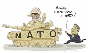 Эксперт: Украина может вступить в НАТО, только отказавшись от Крыма и Донбасса