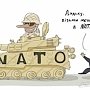 Эксперт: Украина может вступить в НАТО, только отказавшись от Крыма и Донбасса