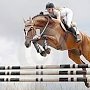 В Красногвардейском районе пройдут соревнования по конному спорту