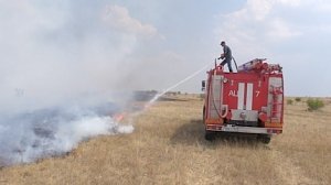 Загорания лесной подстилки в Симферопольском районе ликвидированы