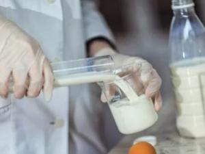 В молочных продуктах, продающихся в Крыму, нашли растительное масло и антибиотики