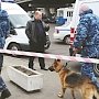 Российские города захлестнула волна «телефонного терроризма»