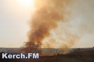 До конца недели в Крыму сохранится пожароопасный промежуток времени