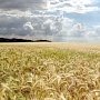 Глобальный рынок не тётка: Минсельхоз США вынужден признать крымское зерно российским