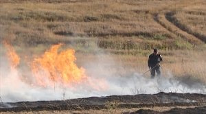 Загорание сухой растительности в Симферопольском районе ликвидировано