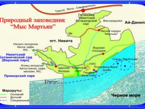 Главгосэкспертиза России согласовала проект берегоукрепления Никитского ботанического сада в Крыму