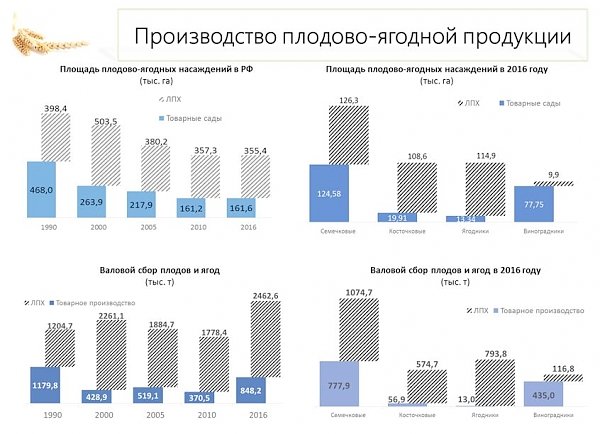 В.И. Кашин: Снижение ставки НДС на плоды, ягоды и виноград - важная и необходимая мера!