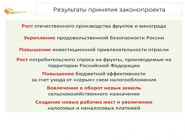 В.И. Кашин: Снижение ставки НДС на плоды, ягоды и виноград - важная и необходимая мера!