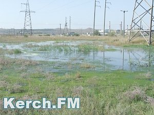 В Керчи в районе Марат образовалось фекальное озеро